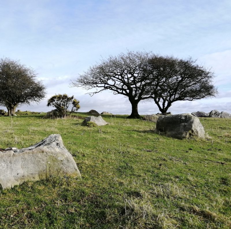 Fyfield Down credit Ann Shepley