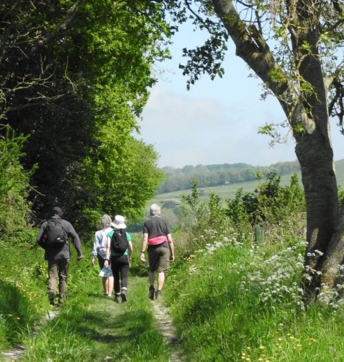 Pewsey Vale - Canal White - Horse Trail - May 21 - JA