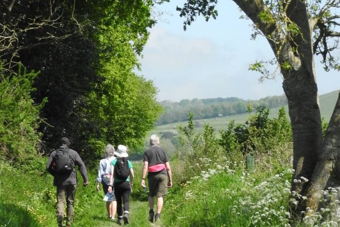 Pewsey Vale - Canal White - Horse Trail - May 21 - JA