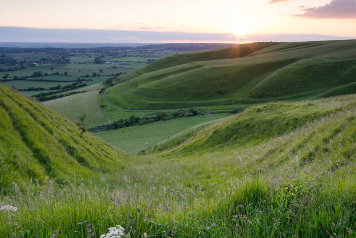 Roundway Devizes Andrew Perrott