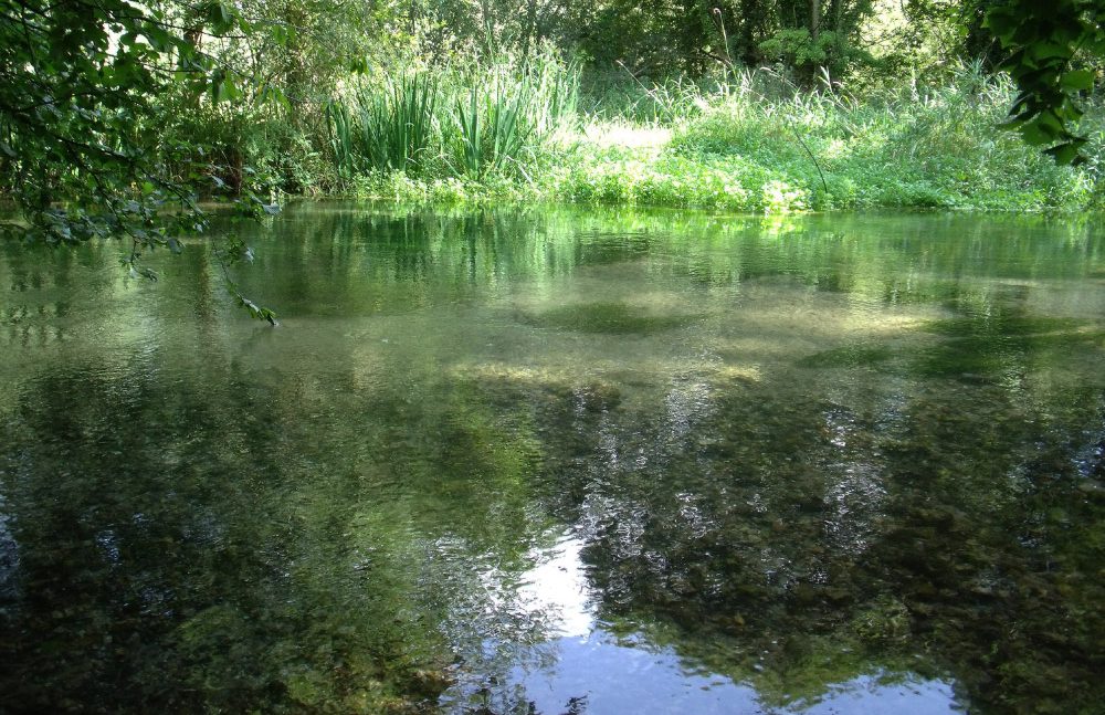 River Lambourn - NWD AONB River Lambourn - NWD AONB
