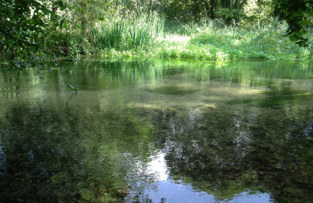 River Lambourn - NWD AONB