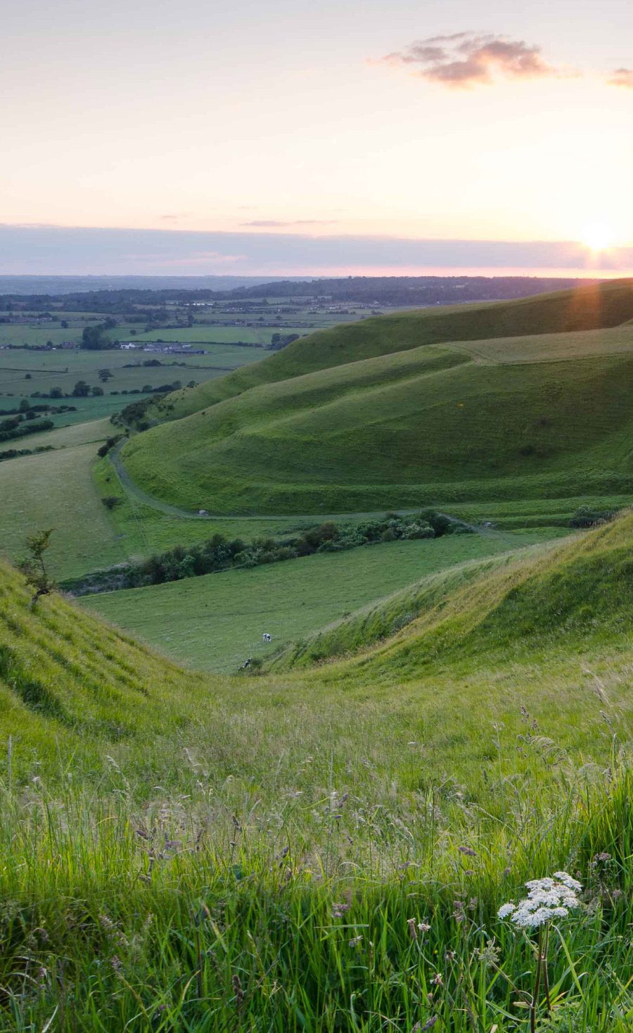 Roundway Devizes Andrew Perrott