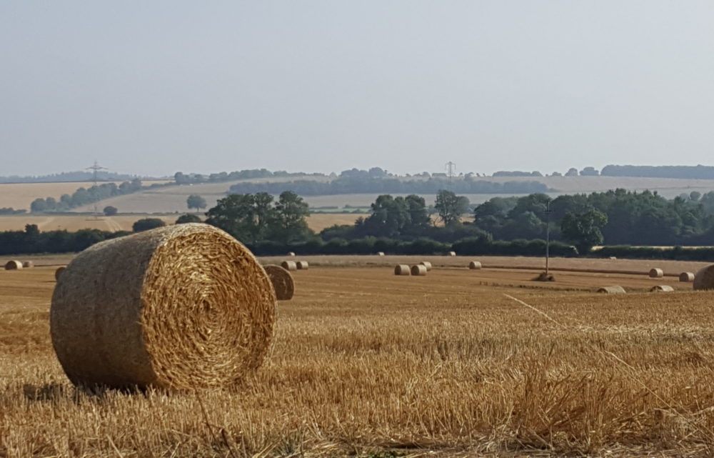 2016-08 Straw Bales