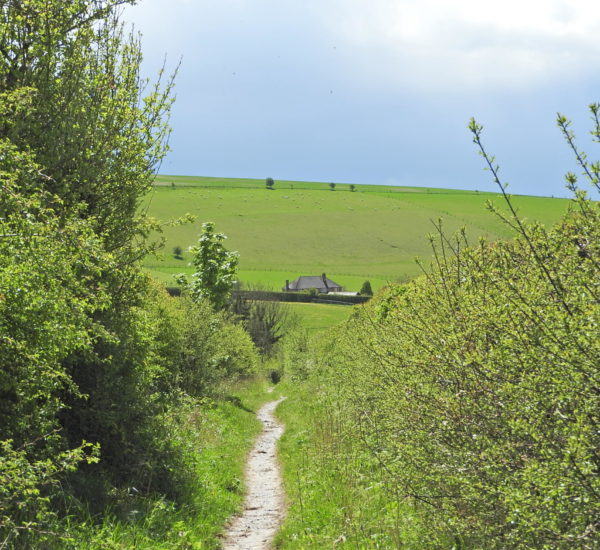 East Garston walk, Jacky Akam