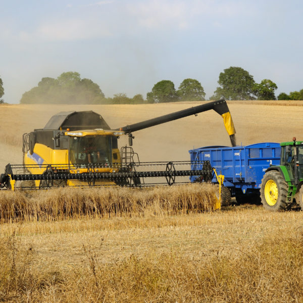 Farming, Harvest Brail farm great bedwyn, Tony Bartlett, 2012 40th Annv