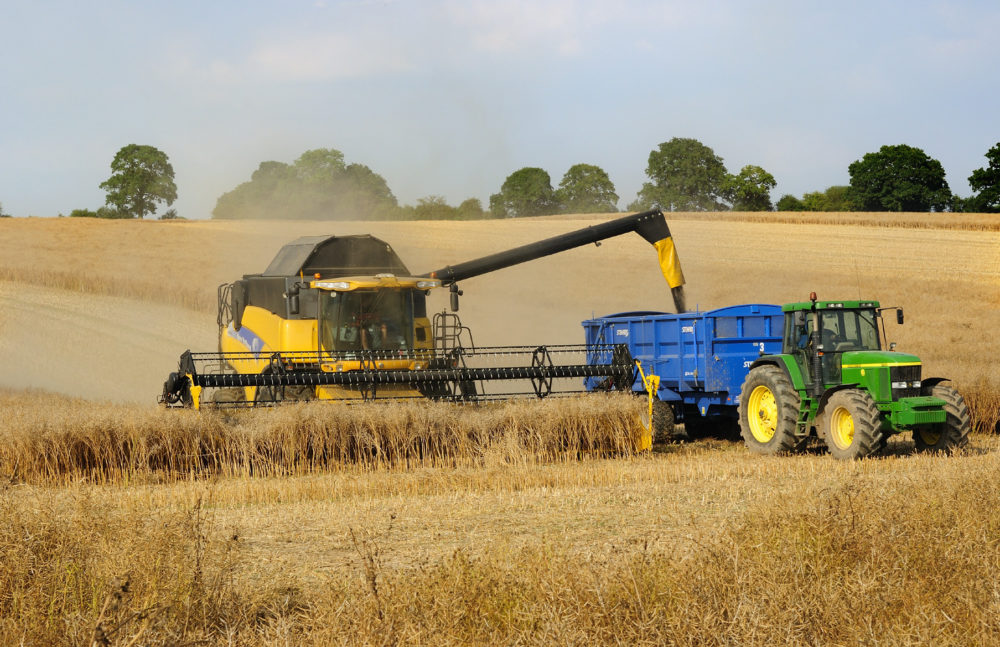 Farming - Harvest Brail farm great bedwyn, Tony Bartlett 2012 40th Annv