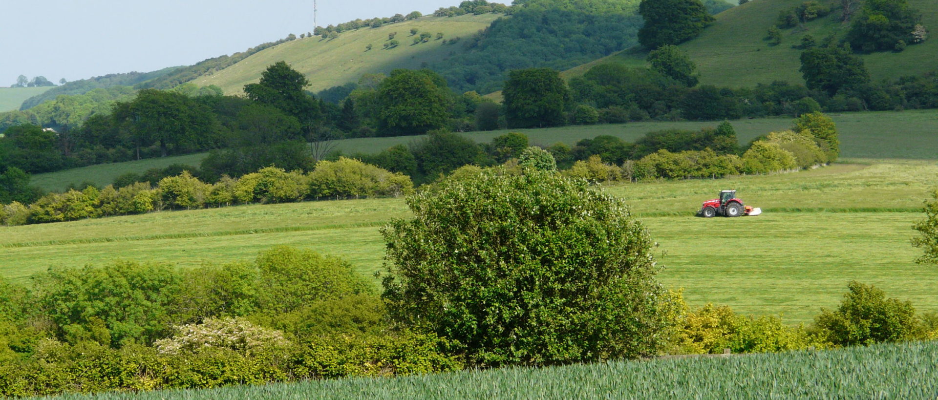 Farming, Mowing haylage towards Ladle Hill & Watership Down, Lord Carnarvon 2011