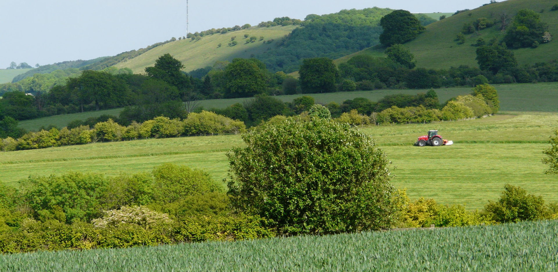 Farming - Mowing haylage towards Ladle Hill & Watership Down, Lord Carnarvon 2011