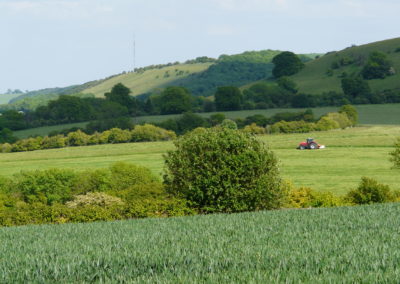 Farming - Mowing haylage towards Ladle Hill & Watership Down, Lord Carnarvon 2011