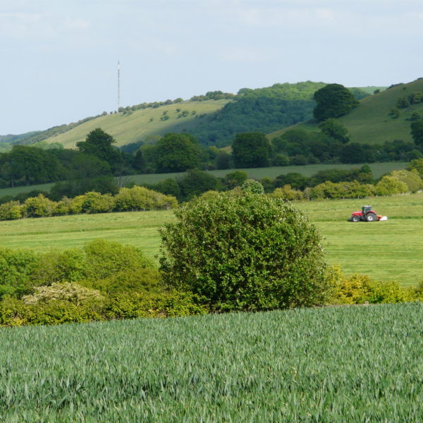 Farming - Mowing haylage towards Ladle Hill & Watership Down, Lord Carnarvon 2011