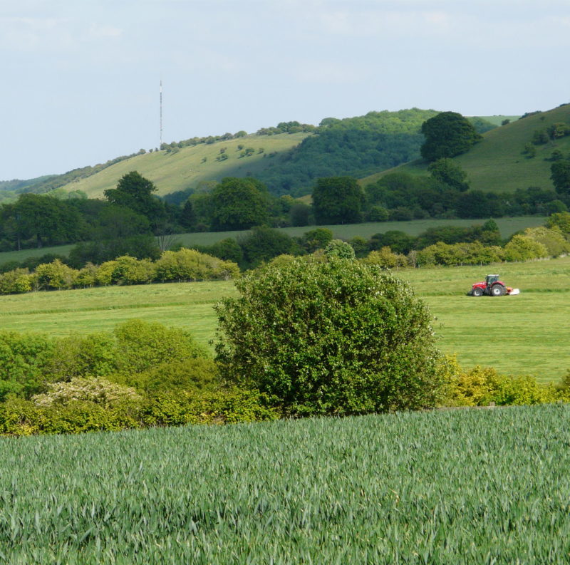 Farming - Mowing haylage towards Ladle Hill & Watership Down, Lord Carnarvon 2011