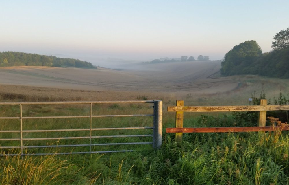 Gates and fences looking towards Ham, West Berks