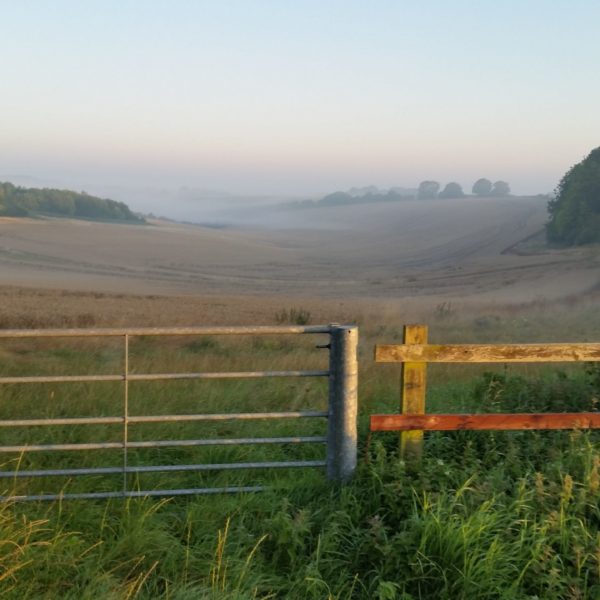 Gates and fences looking towards Ham, West Berks