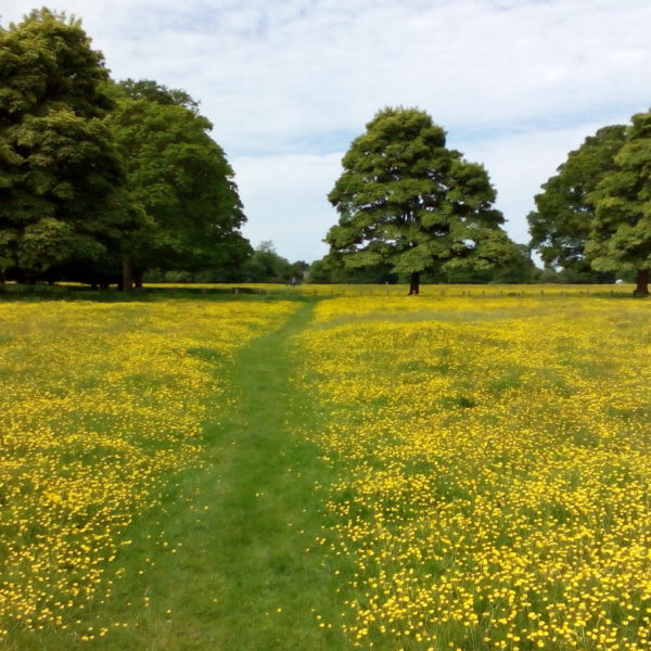 Hungerford Common, Henry Oliver