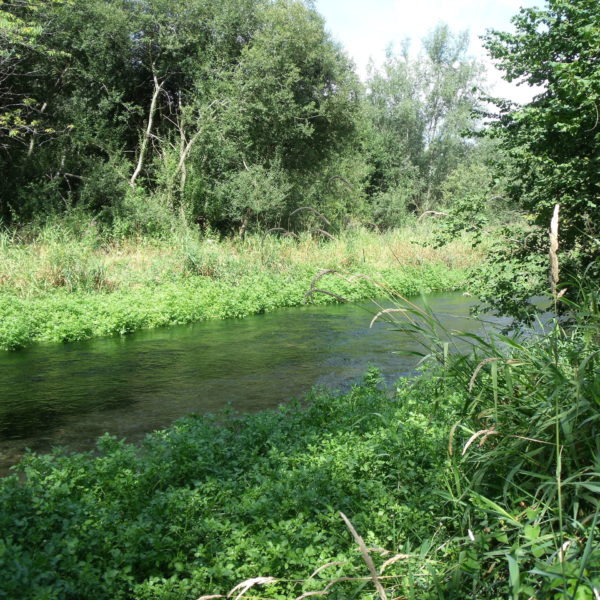 Lambourn Valley Way Boxford