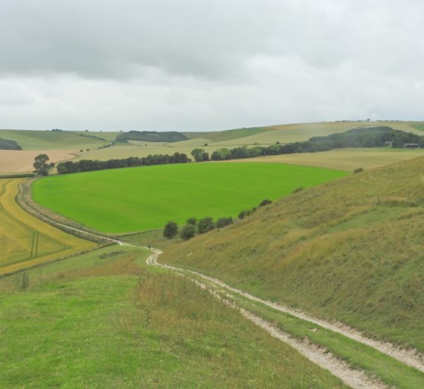 Liddington hill from sugar Hill, Jul 20 JA