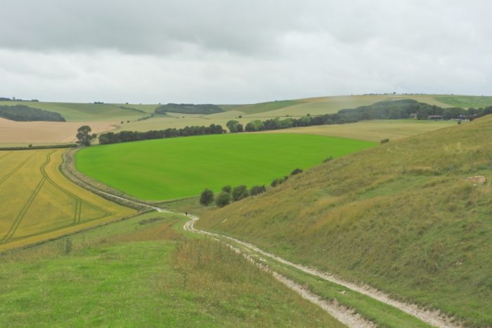 Liddington hill from sugar Hill, Jul 20 JA