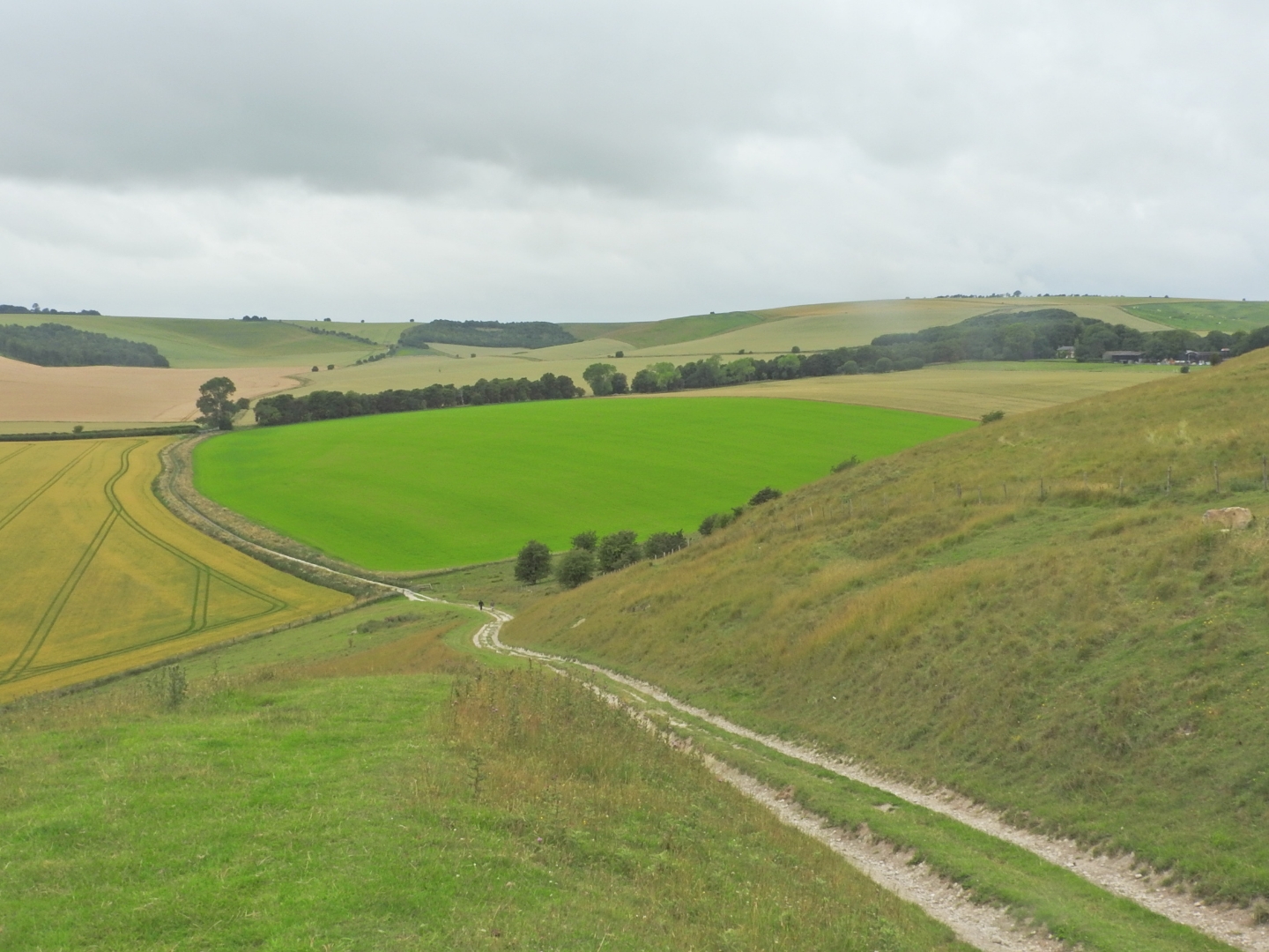 Liddington Hill North Wessex Downs AONB