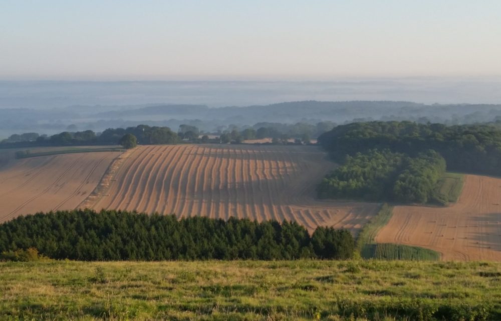 Look north from Coombe Gibbet car park, W Berks