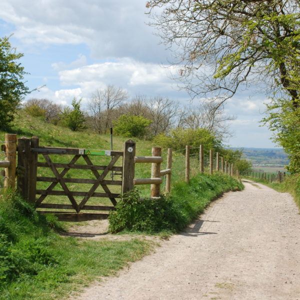 Morgans Hill gate, May 21 A Shepley