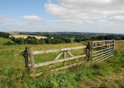 North of Hippenscombe Maccombe Down, Ann Shepley Aug 21