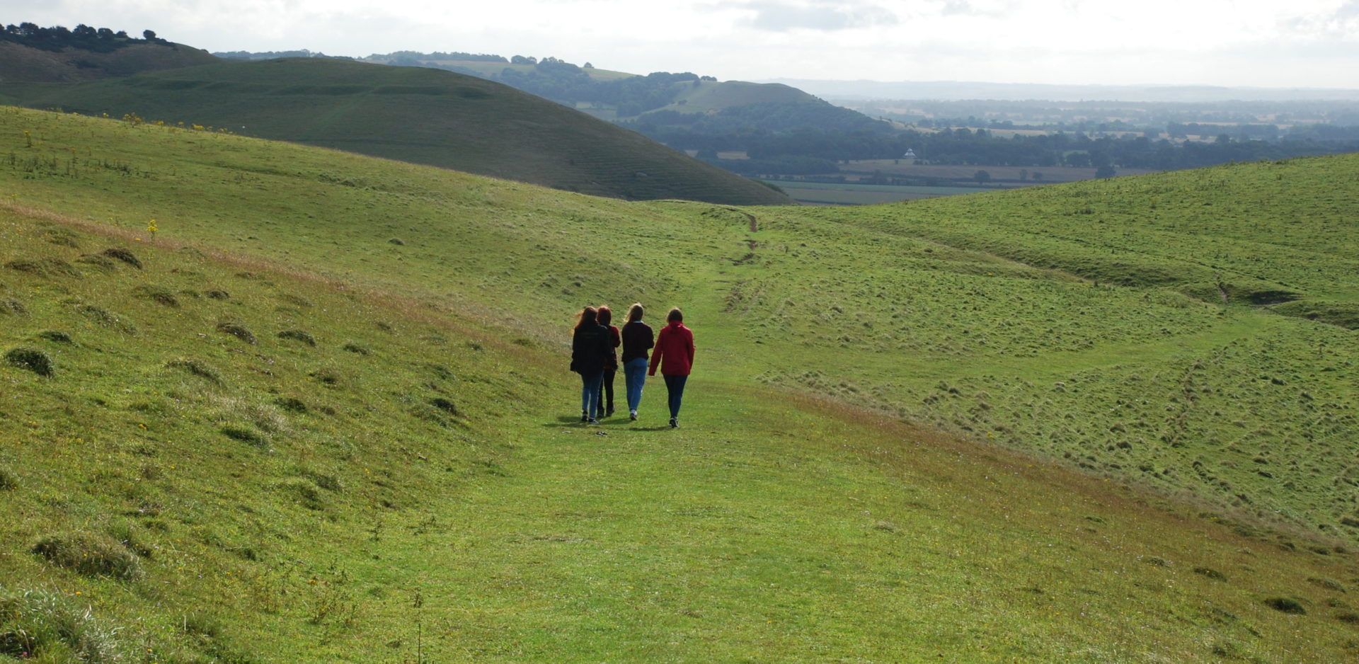 Pewsey Downs NNR, Ann Shepley Aug 19