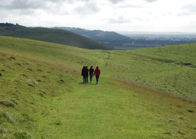 Pewsey Downs NNR, Ann Shepley Aug 19