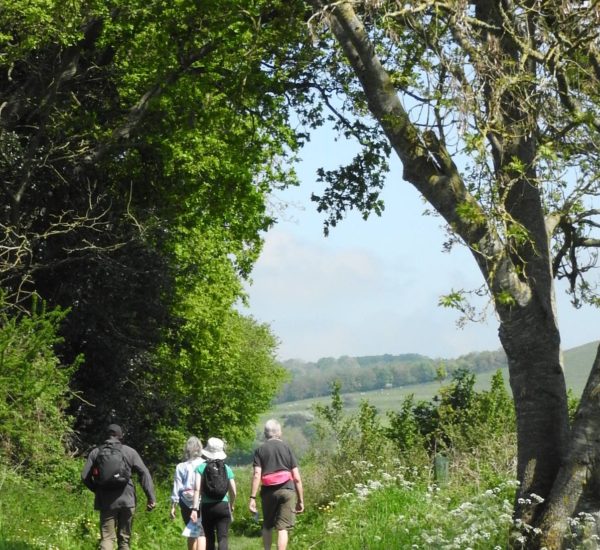 Pewsey Vale Canal & White Horse Trail, May 21 JA