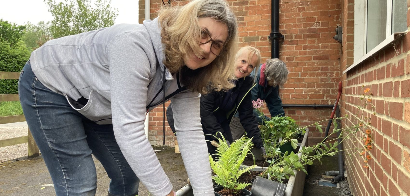 Planting up rain water planters