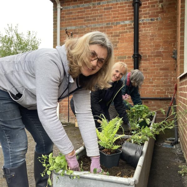 Planting up rain water planters