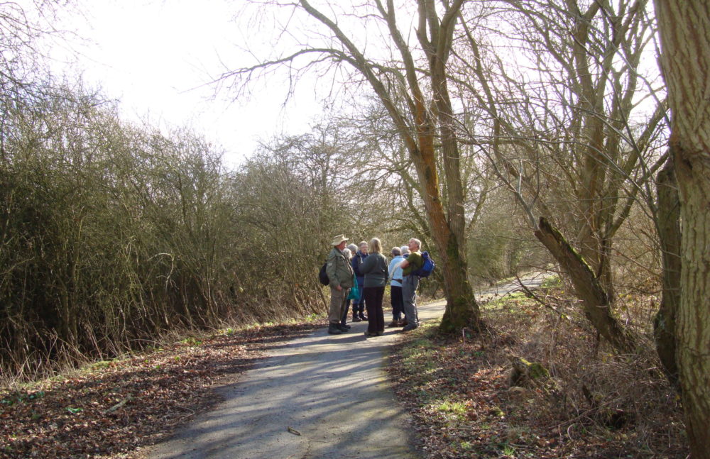 Ramblers - Railway path nr Chiseldon