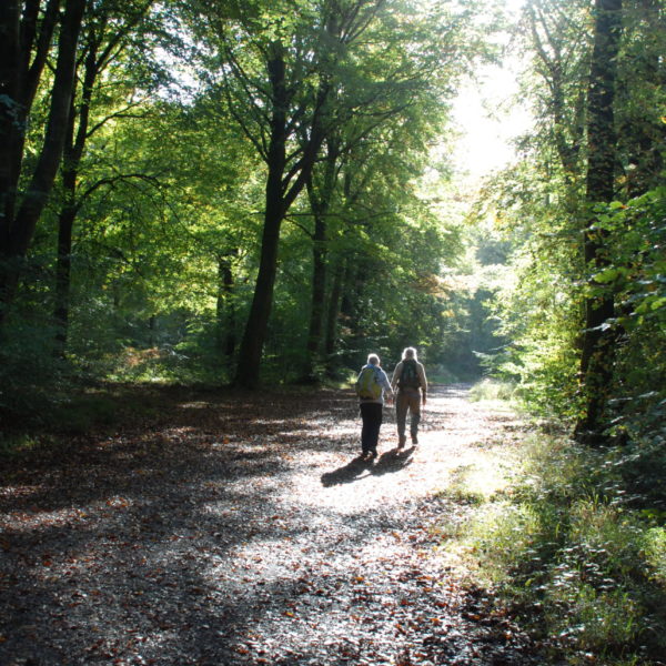 Savernake, Couple walking, Ann Shepley