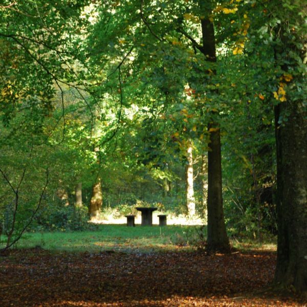 Savernake, Picnic table, Ann Shepley