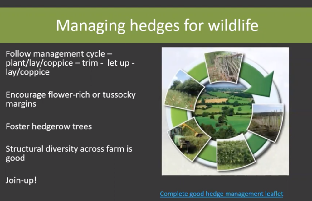 The Future Role of Hedges – Speaker: Dr Rob Wolton