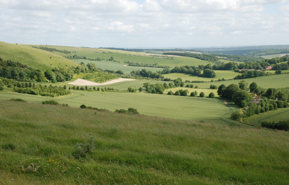 Test Way Combe Gibbet looking south