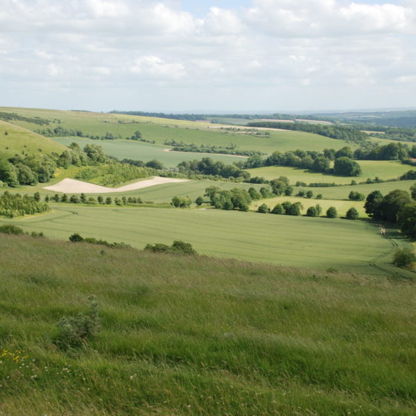 Test Way Combe Gibbet looking south