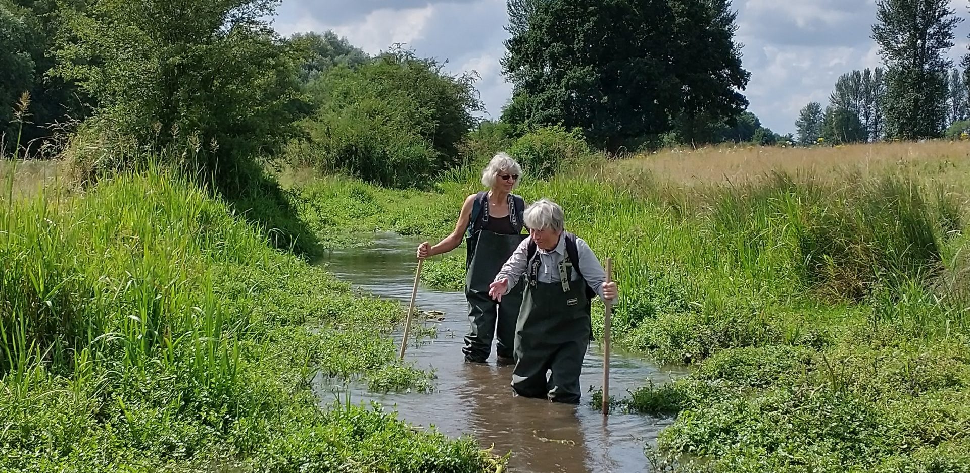 Vole survey Chisbury Manor