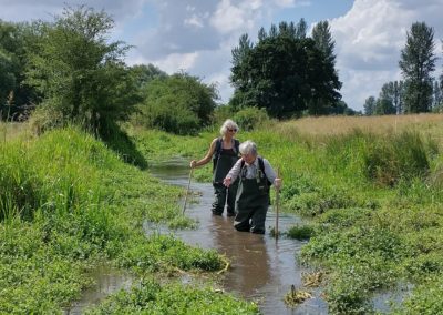 Vole survey Chisbury Manor