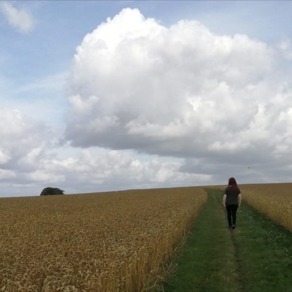 Wayfarers Ladle Hill, June 2019 Ann Shepley