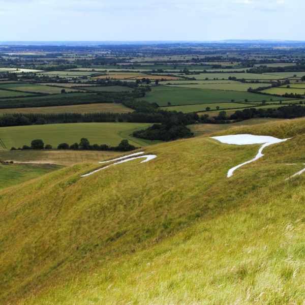 White Horse, copyright Pippa Palmer