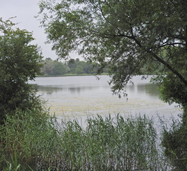 Coate water, Jul 20 JA