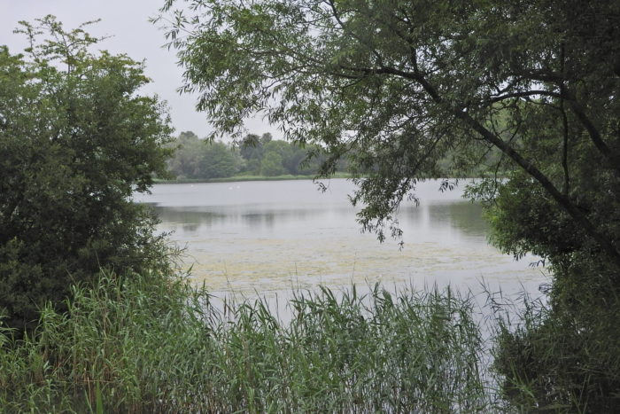 Coate water, Jul 20 JA