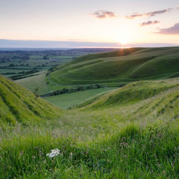 Coombes at Roundway Hill, Andrew_Perrott 1