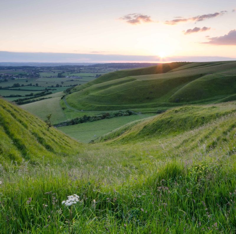 Coombes at Roundway Hill, Andrew_Perrott 1