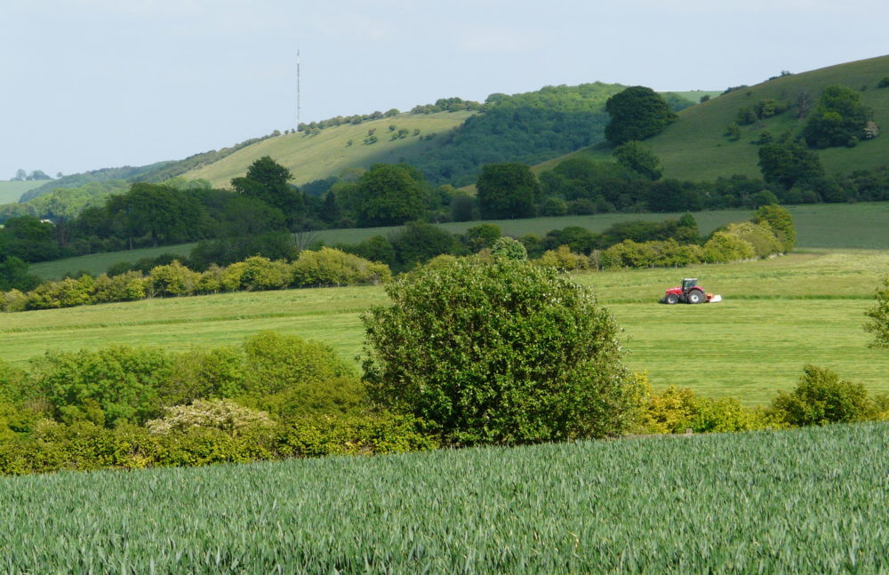 Mowing haylage, Lord Carnarvon