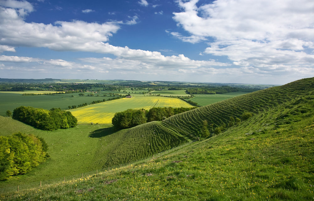 Knap Hill, David Hall