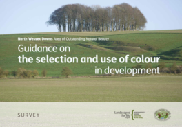 Colour Guide Survey