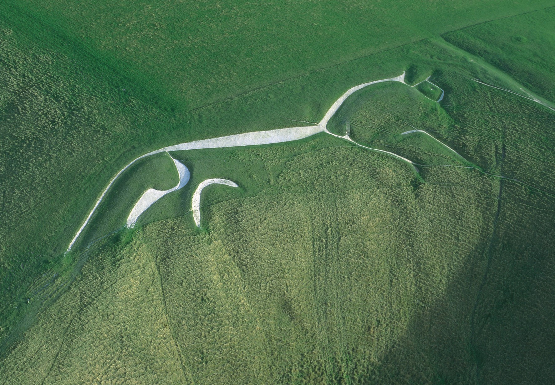 Uffington White Horse North Wessex Downs AONB