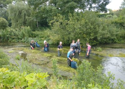 volunteers in the river